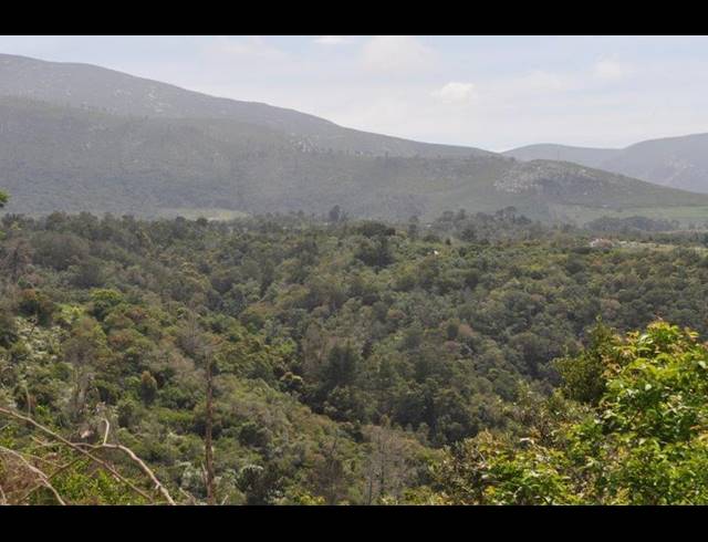 LAND FOR SALE IN WILDERNESS HEIGHTS